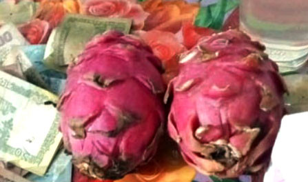 ৪৫ হাজার টাকায় বিক্রি হলো দুই ‘ড্রাগন’ ফল
